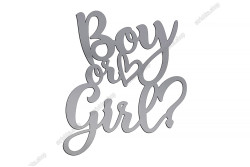 Топер торцевий, дзеркальний пластик, Boy or Girl, №1. Срібний