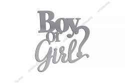 Топер торцевий, дзеркальний пластик, Boy or Girl, №3. Срібний