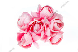 Камелія. Рожевий